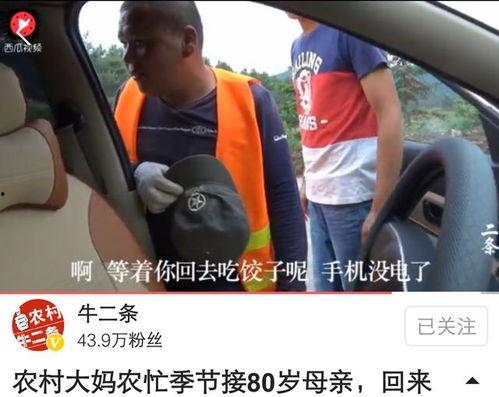 农村牛二条视频,农村生活的欢乐时光