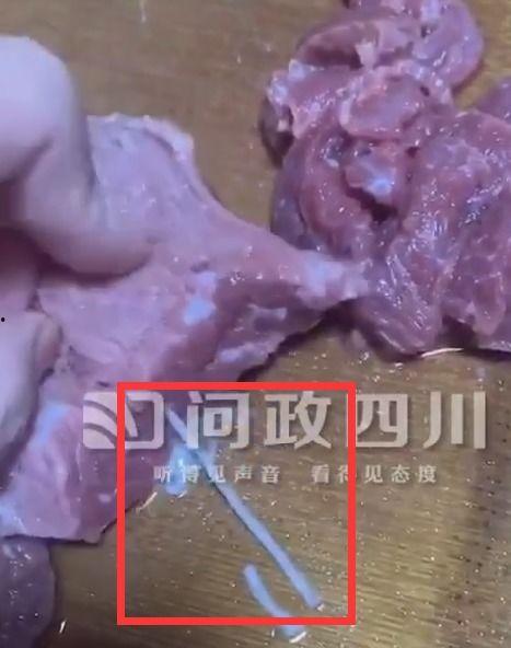 寄生虫视频,视频解析下的生存奥秘与防治策略