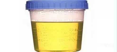 喝尿液视频,喝尿液实验背后的惊人真相