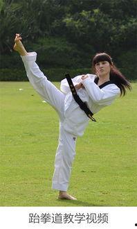 跆拳道7章教学视频,教学视频精华解析