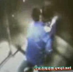 厕所活春视频实拍,活春视频实拍背后的惊人真相