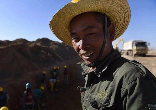 非洲一级视频,探寻原始野性的视觉盛宴