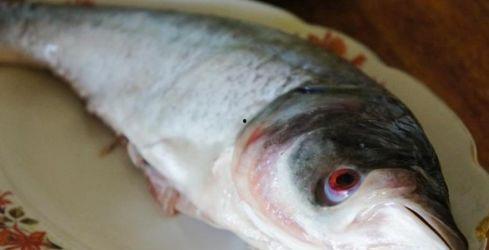 海稍鱼的做法视频,鲜美可口，步骤详解