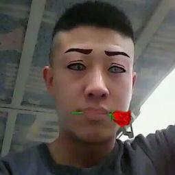 宰驴视频,血腥画面令人触目惊心