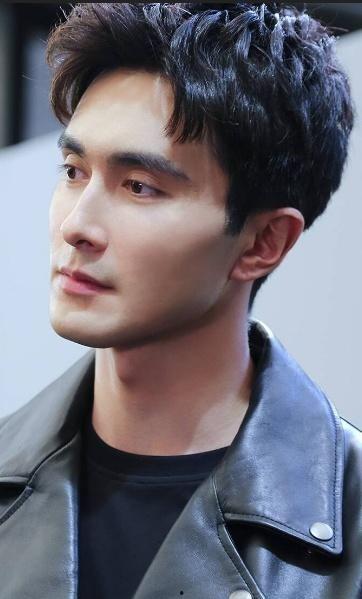 高伟光视频,探寻演员背后的故事与魅力