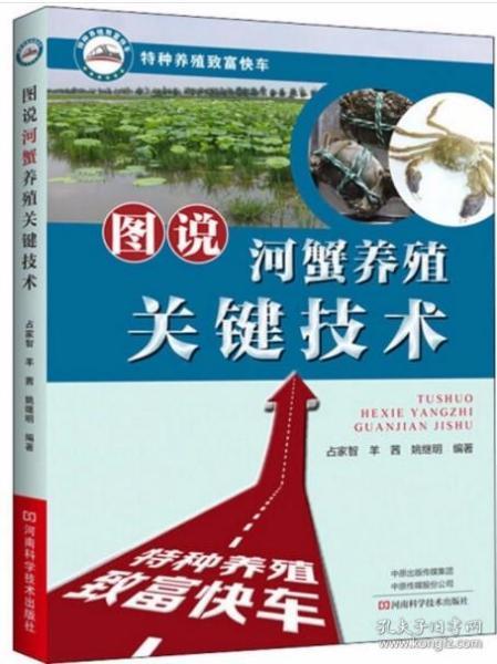 图说视频,探秘视觉奇观，捕捉瞬间之美