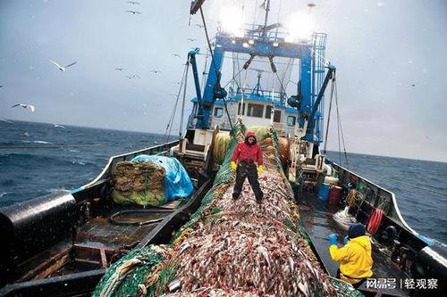 打鱼号视频,打鱼号视频带你领略捕鱼乐趣