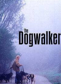 蹓视频,探索短视频的魅力与未来趋势