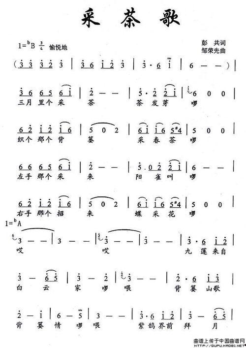 十二月采茶歌视频,传承千年茶韵，共赏冬日茶香