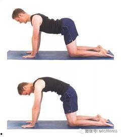 骨盆操作视频,轻松掌握专业技巧