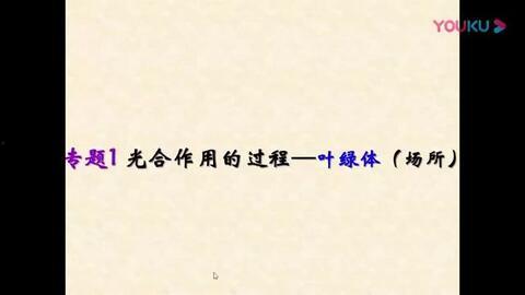 光合作用视频,植物生命之源的神奇之旅